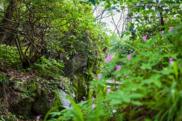 山间小道