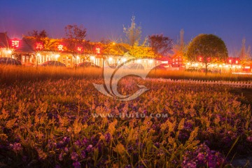 都江堰河岸夜景