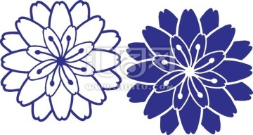 花卉 紋理 矢量圖 素材