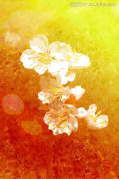 花卉油畫