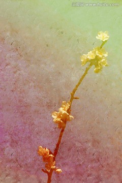 花卉油畫