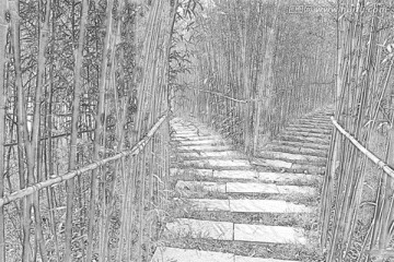 竹林小路素描