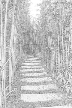 竹林小路素描