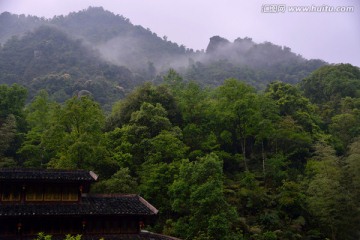 大山云雾