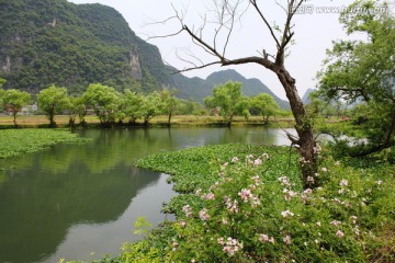 河流