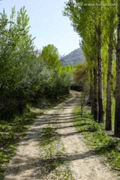 林间小路