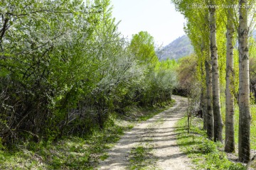 林间小路