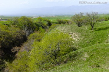 山野