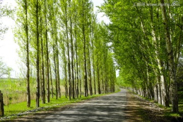 乡间小路