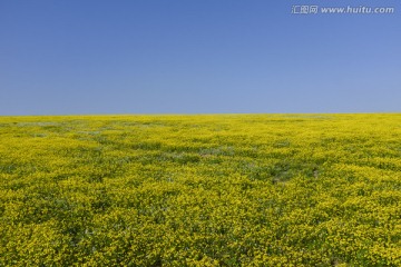 草原的春天