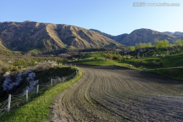 田野