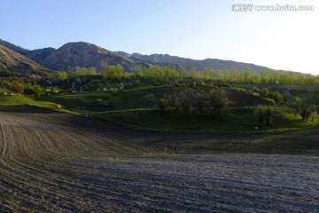 田野