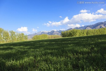 田野