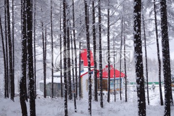 雪林木屋