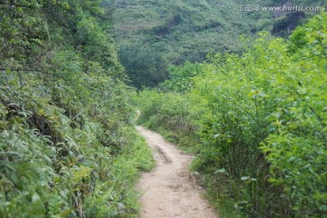 山间小道 小路 路 人行路