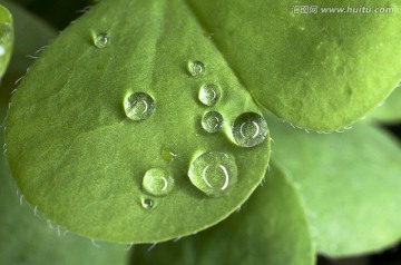 水珠素材