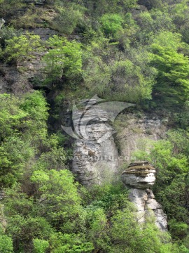 青山 林州五龙洞景区 大山