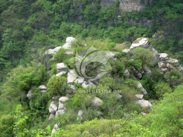 青山 林州五龙洞景区 大山