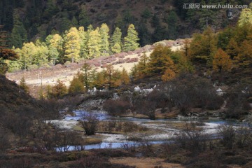 稻城秋天风光 彩林 四川