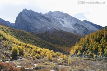 稻城风光 秋色 四川