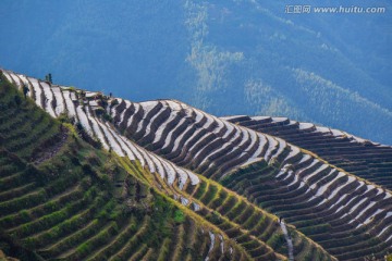 龙胜梯田