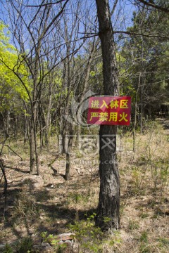 林区防火警示牌