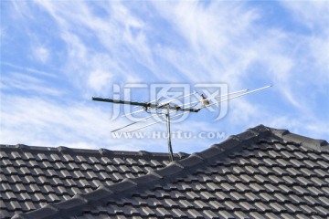 停留在屋顶天线杆上的一只鸽子