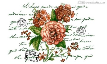 花盆素材 四色花 通道分層