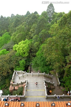 东莞水濂山森林公园