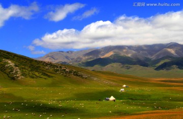 天山牧场