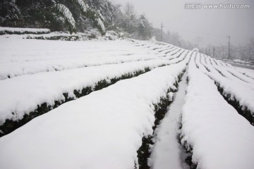 雪景