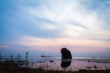 湖面 湿地