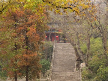 深山古寺秋 琅琊寺