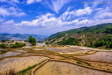 元阳梯田