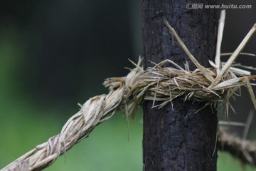 篱笆草绳