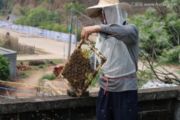 养蜂人