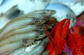 海鲜 龙虾和鱼
