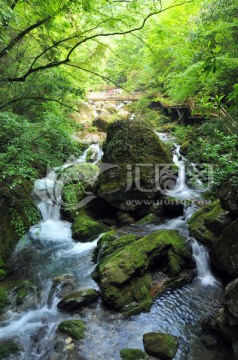 湖北神农架天生桥风景区