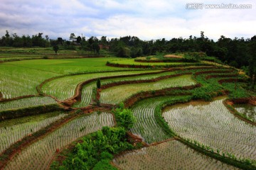 杨天