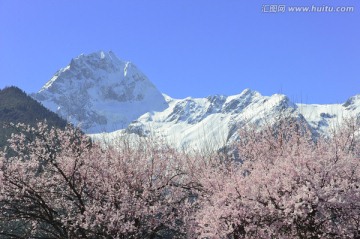 西藏波密雪山