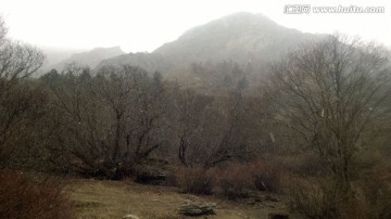 雪山 深林