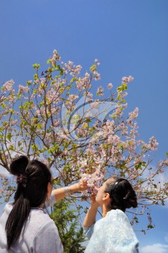 赏花的女人