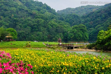 天池花海