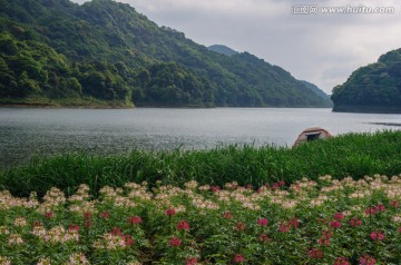 天池花海