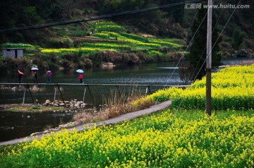 小桥流水油菜花