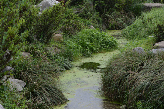 山水