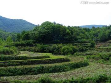 山里梯田