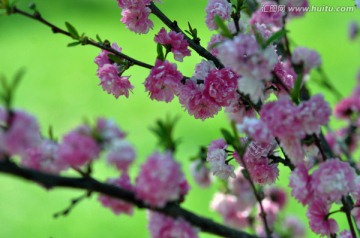 春暖花开