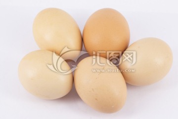 柴鸡蛋 山林散养土鸡蛋