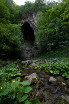 漳河源 老龙洞 山洞